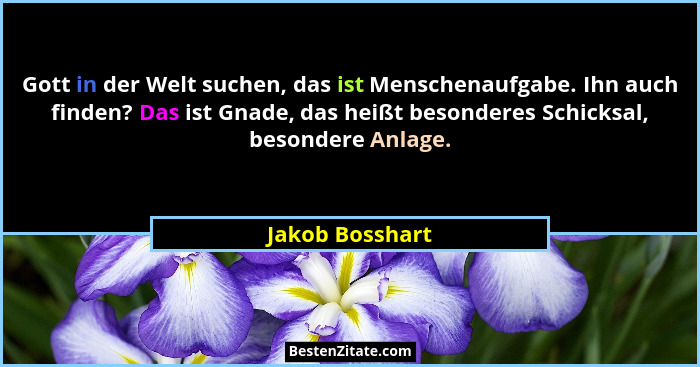 Gott in der Welt suchen, das ist Menschenaufgabe. Ihn auch finden? Das ist Gnade, das heißt besonderes Schicksal, besondere Anlage.... - Jakob Bosshart