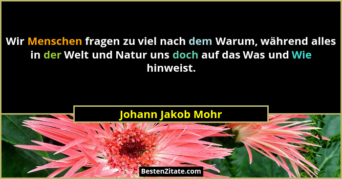 Wir Menschen fragen zu viel nach dem Warum, während alles in der Welt und Natur uns doch auf das Was und Wie hinweist.... - Johann Jakob Mohr