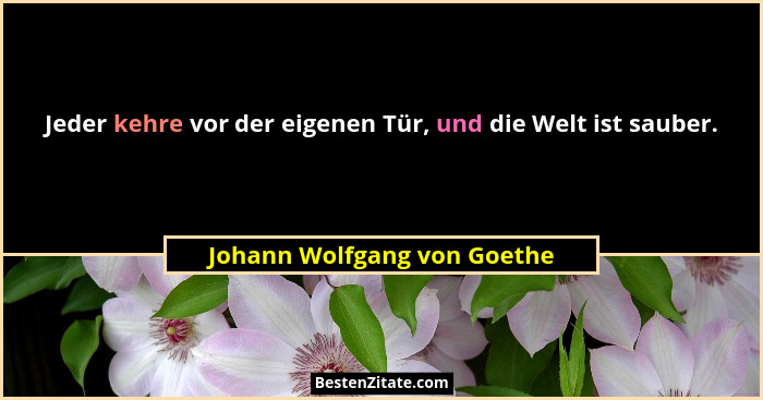 Jeder kehre vor der eigenen Tür, und die Welt ist sauber.... - Johann Wolfgang von Goethe
