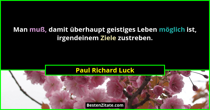 Man muß, damit überhaupt geistiges Leben möglich ist, irgendeinem Ziele zustreben.... - Paul Richard Luck