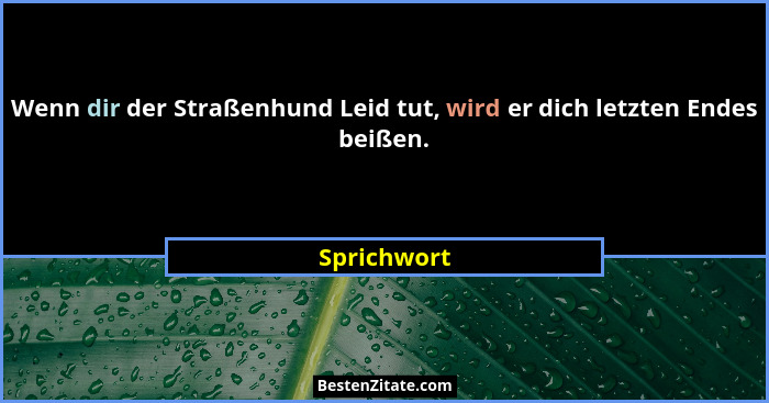Wenn dir der Straßenhund Leid tut, wird er dich letzten Endes beißen.... - Sprichwort