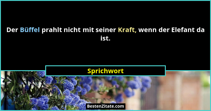 Der Büffel prahlt nicht mit seiner Kraft, wenn der Elefant da ist.... - Sprichwort