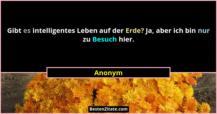 Gibt es intelligentes Leben auf der Erde? Ja, aber ich bin nur zu Besuch hier.... - Anonym