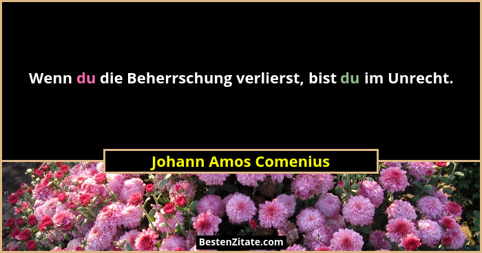 Wenn du die Beherrschung verlierst, bist du im Unrecht.... - Johann Amos Comenius