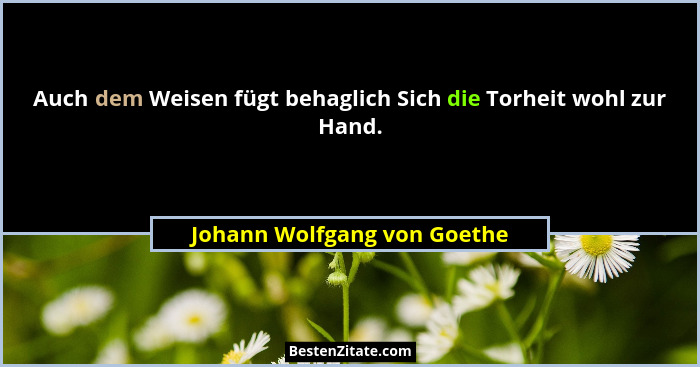 Auch dem Weisen fügt behaglich Sich die Torheit wohl zur Hand.... - Johann Wolfgang von Goethe