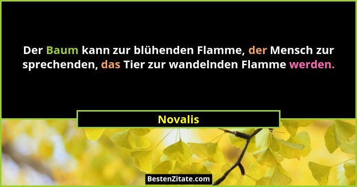 Der Baum kann zur blühenden Flamme, der Mensch zur sprechenden, das Tier zur wandelnden Flamme werden.... - Novalis