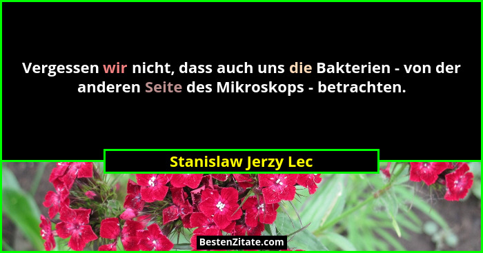 Vergessen wir nicht, dass auch uns die Bakterien - von der anderen Seite des Mikroskops - betrachten.... - Stanislaw Jerzy Lec