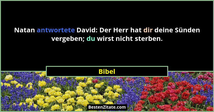 Natan antwortete David: Der Herr hat dir deine Sünden vergeben; du wirst nicht sterben.... - Bibel