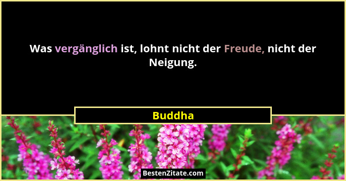 Was vergänglich ist, lohnt nicht der Freude, nicht der Neigung.... - Buddha