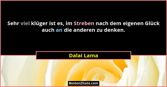 Sehr viel klüger ist es, im Streben nach dem eigenen Glück auch an die anderen zu denken.... - Dalai Lama