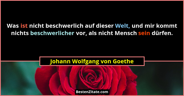 Was ist nicht beschwerlich auf dieser Welt, und mir kommt nichts beschwerlicher vor, als nicht Mensch sein dürfen.... - Johann Wolfgang von Goethe