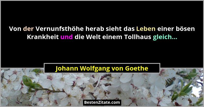 Von der Vernunfsthöhe herab sieht das Leben einer bösen Krankheit und die Welt einem Tollhaus gleich...... - Johann Wolfgang von Goethe
