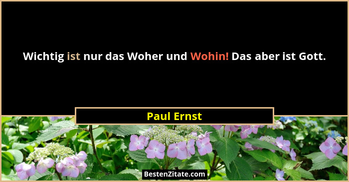 Wichtig ist nur das Woher und Wohin! Das aber ist Gott.... - Paul Ernst