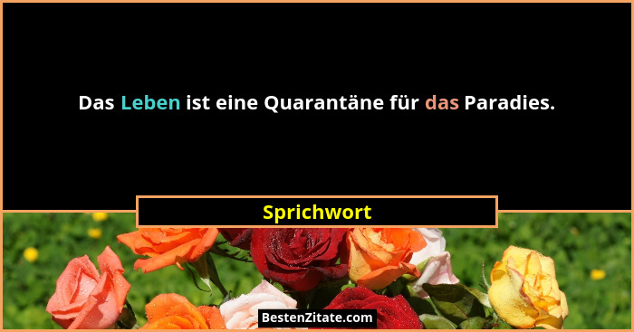 Das Leben ist eine Quarantäne für das Paradies.... - Sprichwort