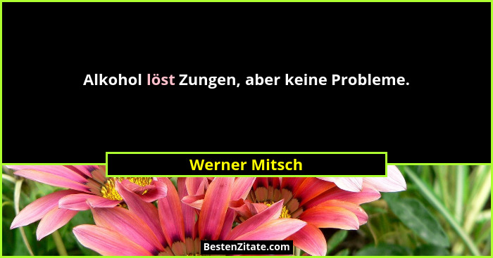 Alkohol löst Zungen, aber keine Probleme.... - Werner Mitsch