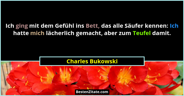 Ich ging mit dem Gefühl ins Bett, das alle Säufer kennen: Ich hatte mich lächerlich gemacht, aber zum Teufel damit.... - Charles Bukowski