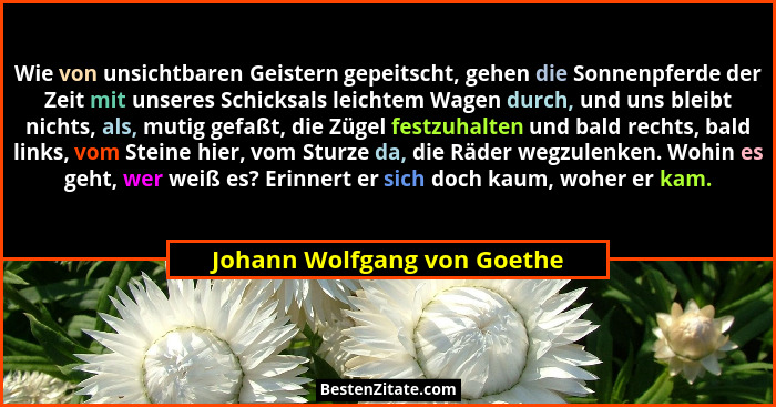 Wie von unsichtbaren Geistern gepeitscht, gehen die Sonnenpferde der Zeit mit unseres Schicksals leichtem Wagen durch, un... - Johann Wolfgang von Goethe