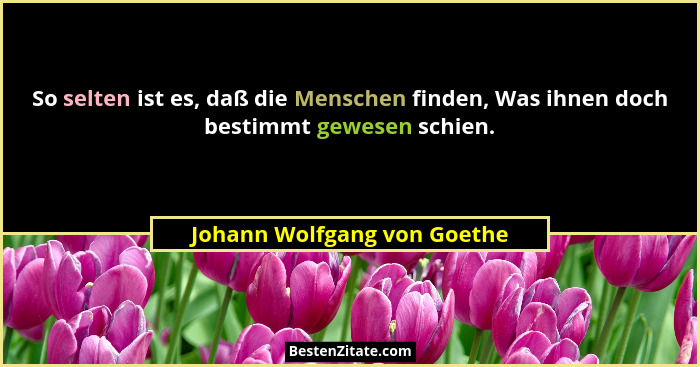 So selten ist es, daß die Menschen finden, Was ihnen doch bestimmt gewesen schien.... - Johann Wolfgang von Goethe