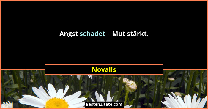 Angst schadet – Mut stärkt.... - Novalis