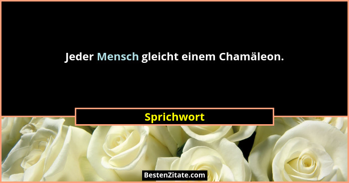 Jeder Mensch gleicht einem Chamäleon.... - Sprichwort