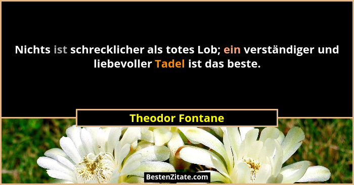 Nichts ist schrecklicher als totes Lob; ein verständiger und liebevoller Tadel ist das beste.... - Theodor Fontane