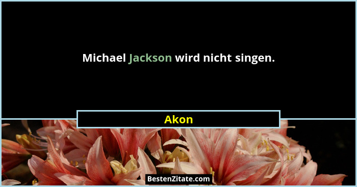 Michael Jackson wird nicht singen.... - Akon