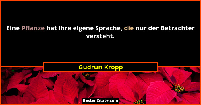 Eine Pflanze hat ihre eigene Sprache, die nur der Betrachter versteht.... - Gudrun Kropp