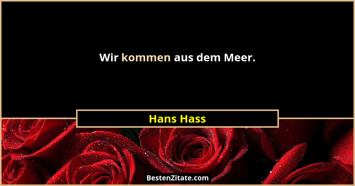 Wir kommen aus dem Meer.... - Hans Hass