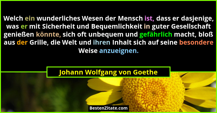 Welch ein wunderliches Wesen der Mensch ist, dass er dasjenige, was er mit Sicherheit und Bequemlichkeit in guter Gesells... - Johann Wolfgang von Goethe