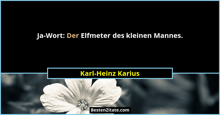 Ja-Wort: Der Elfmeter des kleinen Mannes.... - Karl-Heinz Karius