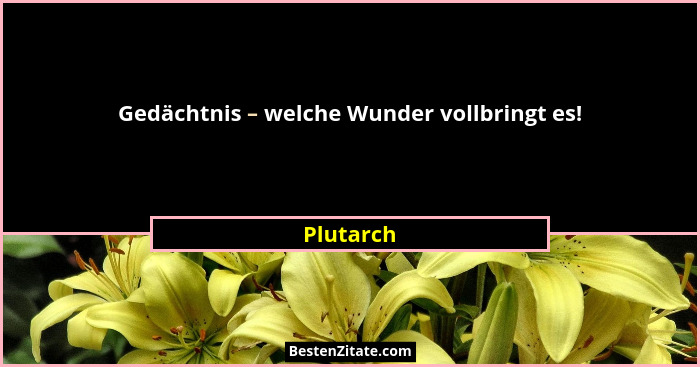 Gedächtnis – welche Wunder vollbringt es!... - Plutarch