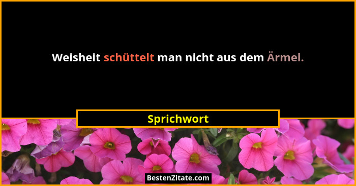 Weisheit schüttelt man nicht aus dem Ärmel.... - Sprichwort