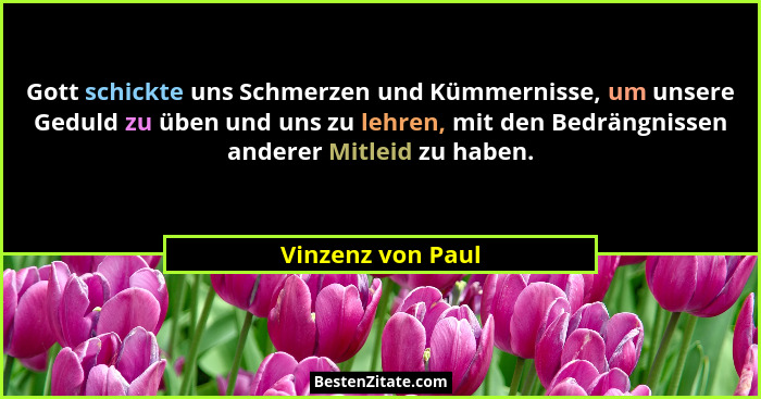 Gott schickte uns Schmerzen und Kümmernisse, um unsere Geduld zu üben und uns zu lehren, mit den Bedrängnissen anderer Mitleid zu h... - Vinzenz von Paul