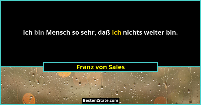 Ich bin Mensch so sehr, daß ich nichts weiter bin.... - Franz von Sales
