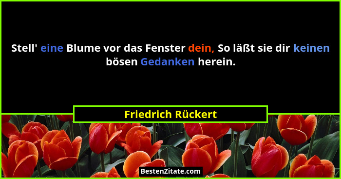 Stell' eine Blume vor das Fenster dein, So läßt sie dir keinen bösen Gedanken herein.... - Friedrich Rückert