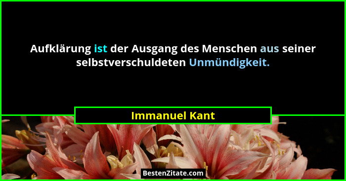 Aufklärung ist der Ausgang des Menschen aus seiner selbstverschuldeten Unmündigkeit.... - Immanuel Kant