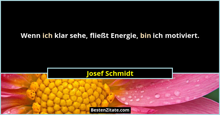 Wenn ich klar sehe, fließt Energie, bin ich motiviert.... - Josef Schmidt