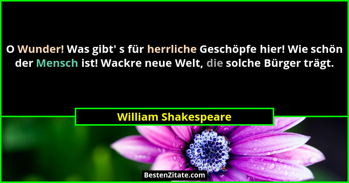 O Wunder! Was gibt' s für herrliche Geschöpfe hier! Wie schön der Mensch ist! Wackre neue Welt, die solche Bürger trägt.... - William Shakespeare