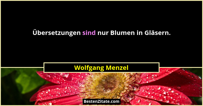 Übersetzungen sind nur Blumen in Gläsern.... - Wolfgang Menzel