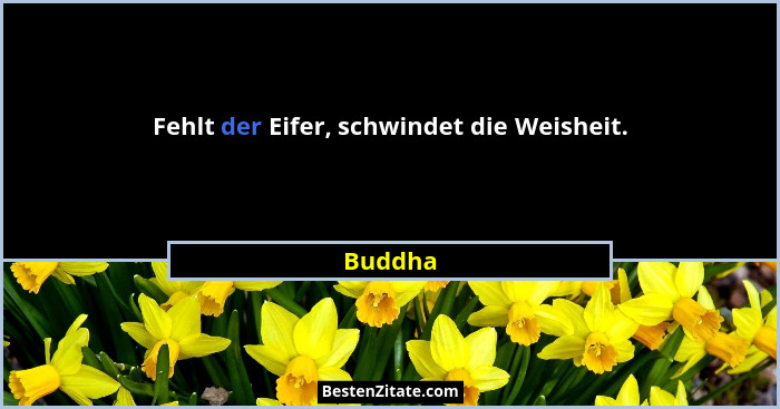 Fehlt der Eifer, schwindet die Weisheit.... - Buddha