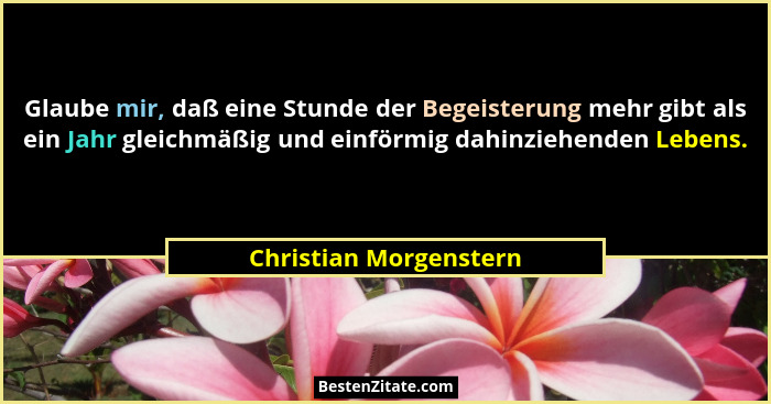 Glaube mir, daß eine Stunde der Begeisterung mehr gibt als ein Jahr gleichmäßig und einförmig dahinziehenden Lebens.... - Christian Morgenstern