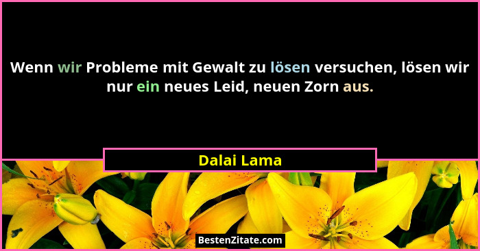 Wenn wir Probleme mit Gewalt zu lösen versuchen, lösen wir nur ein neues Leid, neuen Zorn aus.... - Dalai Lama