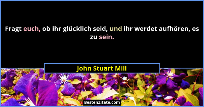 Fragt euch, ob ihr glücklich seid, und ihr werdet aufhören, es zu sein.... - John Stuart Mill