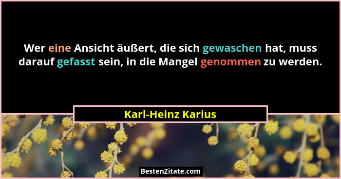 Wer eine Ansicht äußert, die sich gewaschen hat, muss darauf gefasst sein, in die Mangel genommen zu werden.... - Karl-Heinz Karius