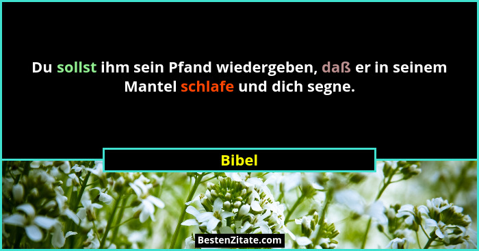 Du sollst ihm sein Pfand wiedergeben, daß er in seinem Mantel schlafe und dich segne.... - Bibel