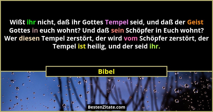 Wißt ihr nicht, daß ihr Gottes Tempel seid, und daß der Geist Gottes in euch wohnt? Und daß sein Schöpfer in Euch wohnt? Wer diesen Tempel zer... - Bibel