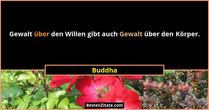 Gewalt über den Willen gibt auch Gewalt über den Körper.... - Buddha