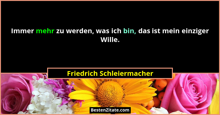 Immer mehr zu werden, was ich bin, das ist mein einziger Wille.... - Friedrich Schleiermacher