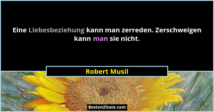Eine Liebesbeziehung kann man zerreden. Zerschweigen kann man sie nicht.... - Robert Musil