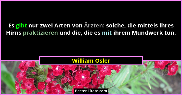 Es gibt nur zwei Arten von Ärzten: solche, die mittels ihres Hirns praktizieren und die, die es mit ihrem Mundwerk tun.... - William Osler